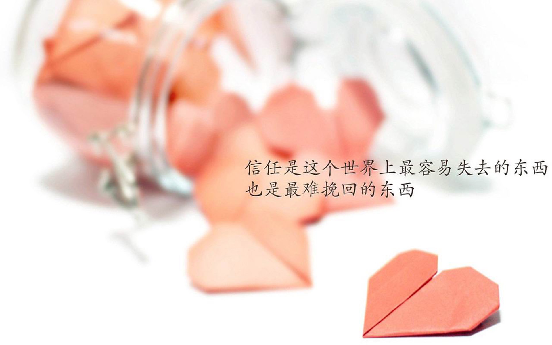 _猛龙展现韧性，逆转赢得关键战_，猛龙yuta