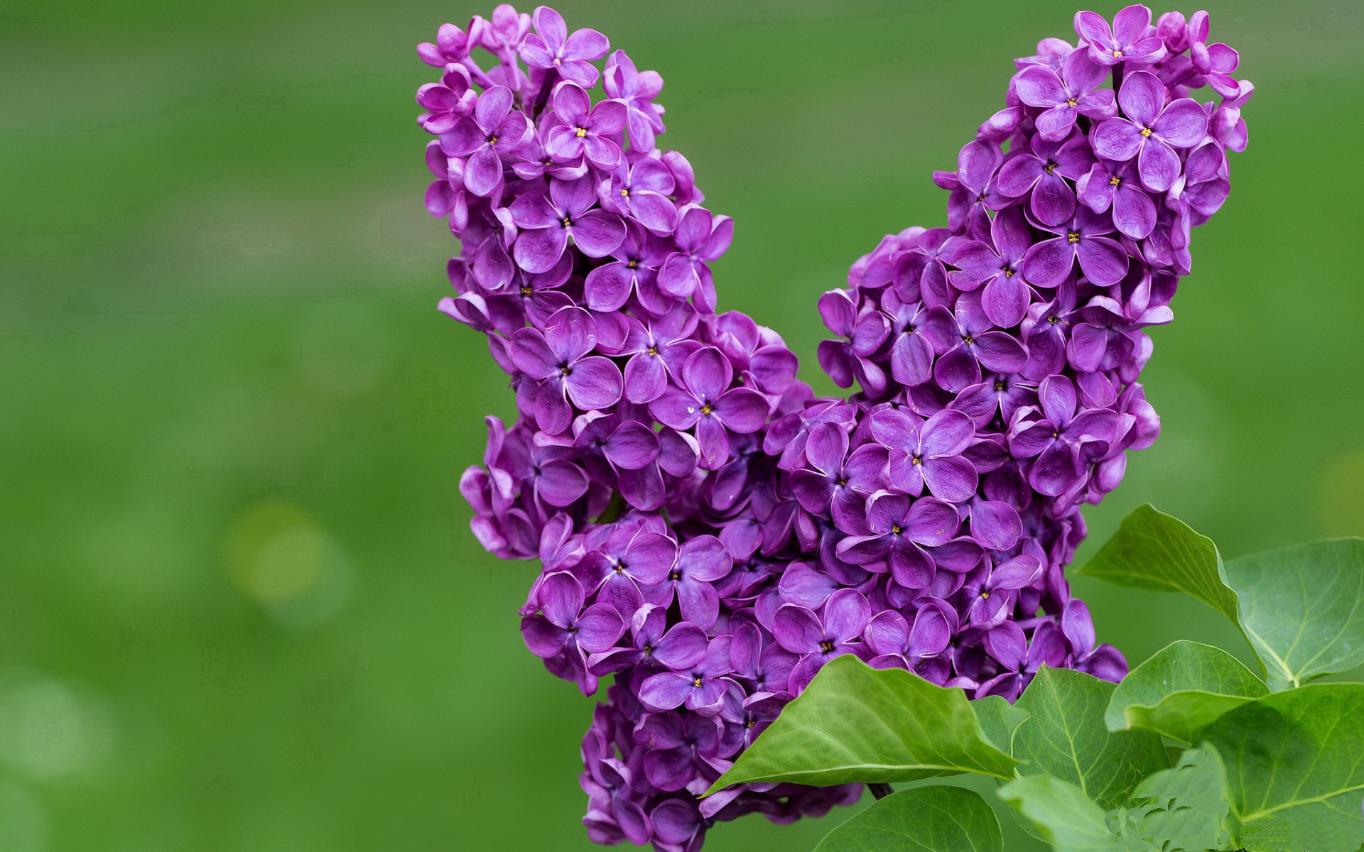 “青训基地引进国际先进训练设备,提升青少年技术水平”,青训训练营是什么