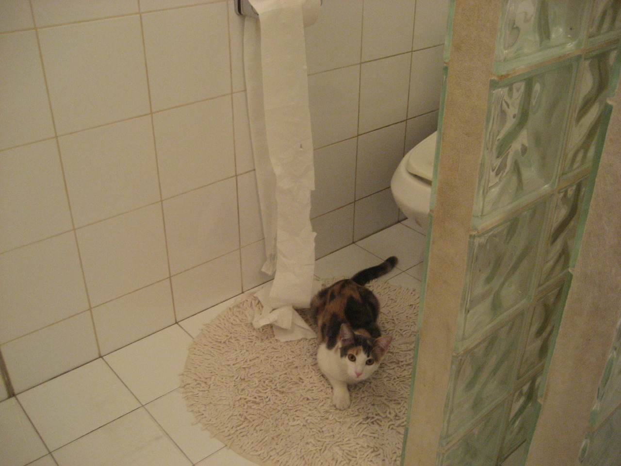 【“秒投”战术分析】是否会成为未来比赛中的“必杀技”？，秒投选手