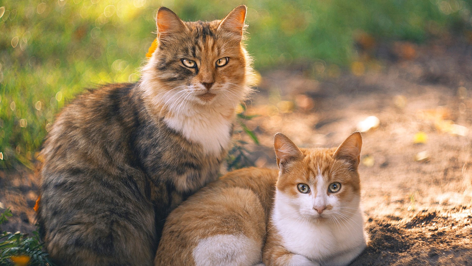 开yun体育-从困境中崛起：逆风翻盘的WRC奇迹瞬间