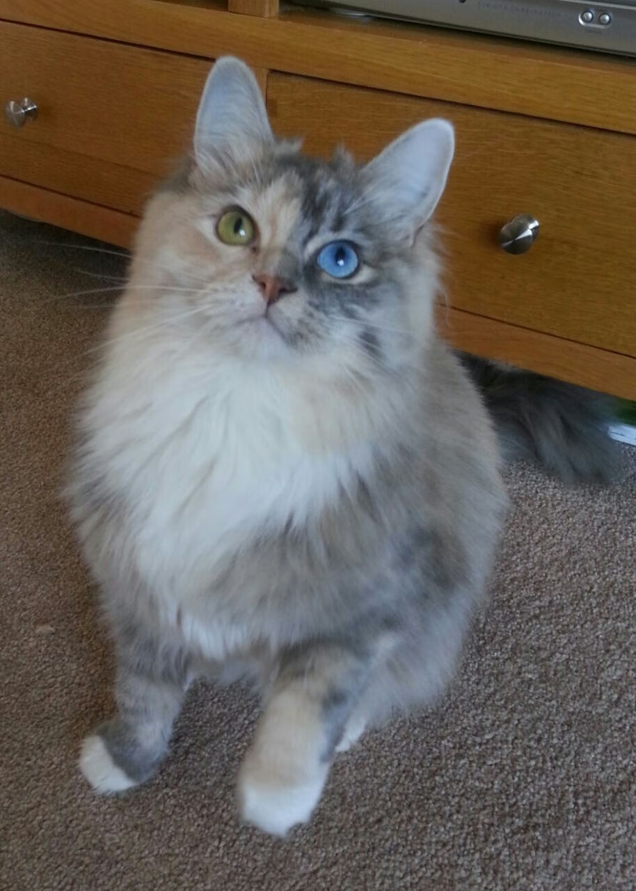 开云首页登录-史上最“燃”的季后赛夜战，哪些比赛你还在回味？，季后赛play in