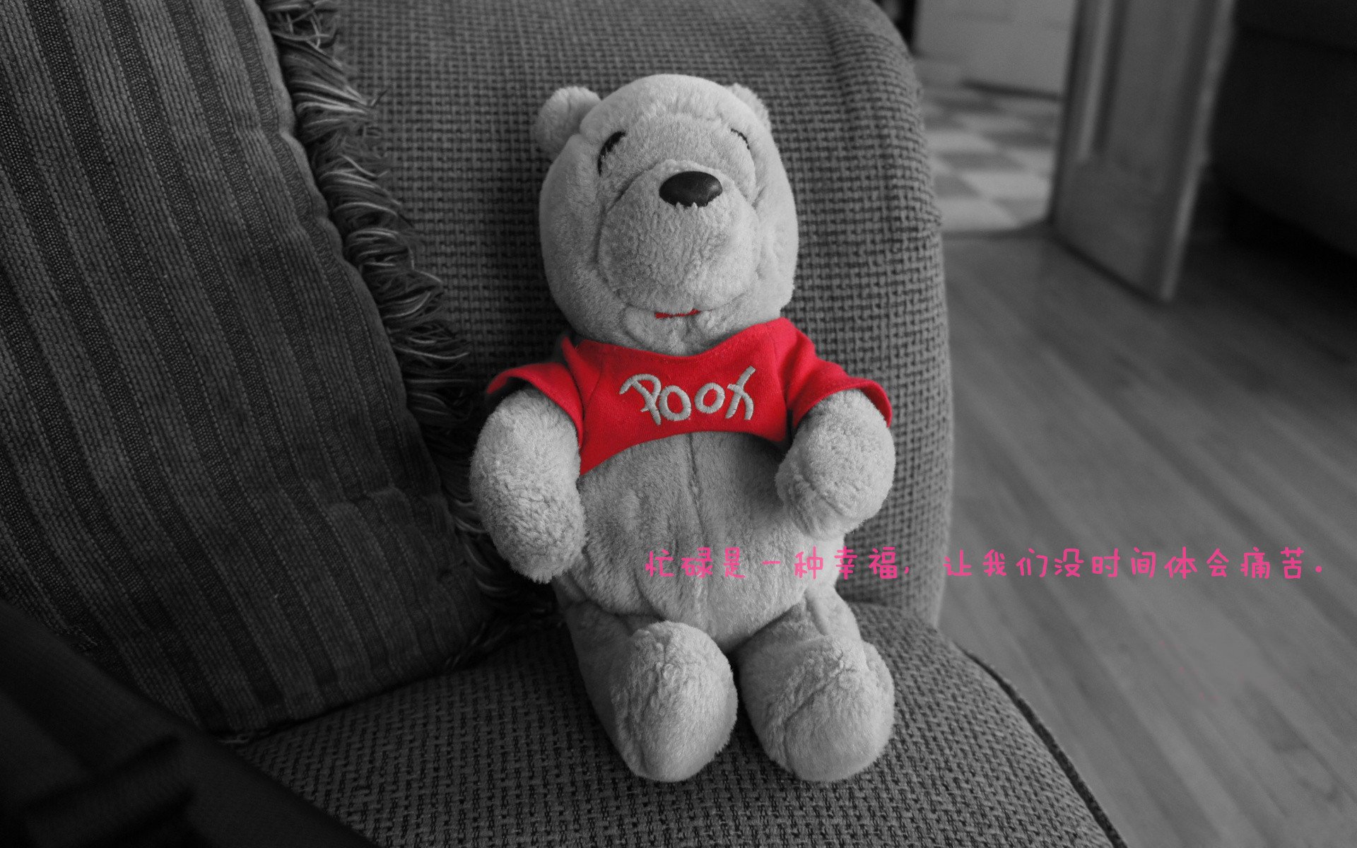 天空飞碟投掷大赛,空中竞技的趣味风潮,投掷飞碟的图片